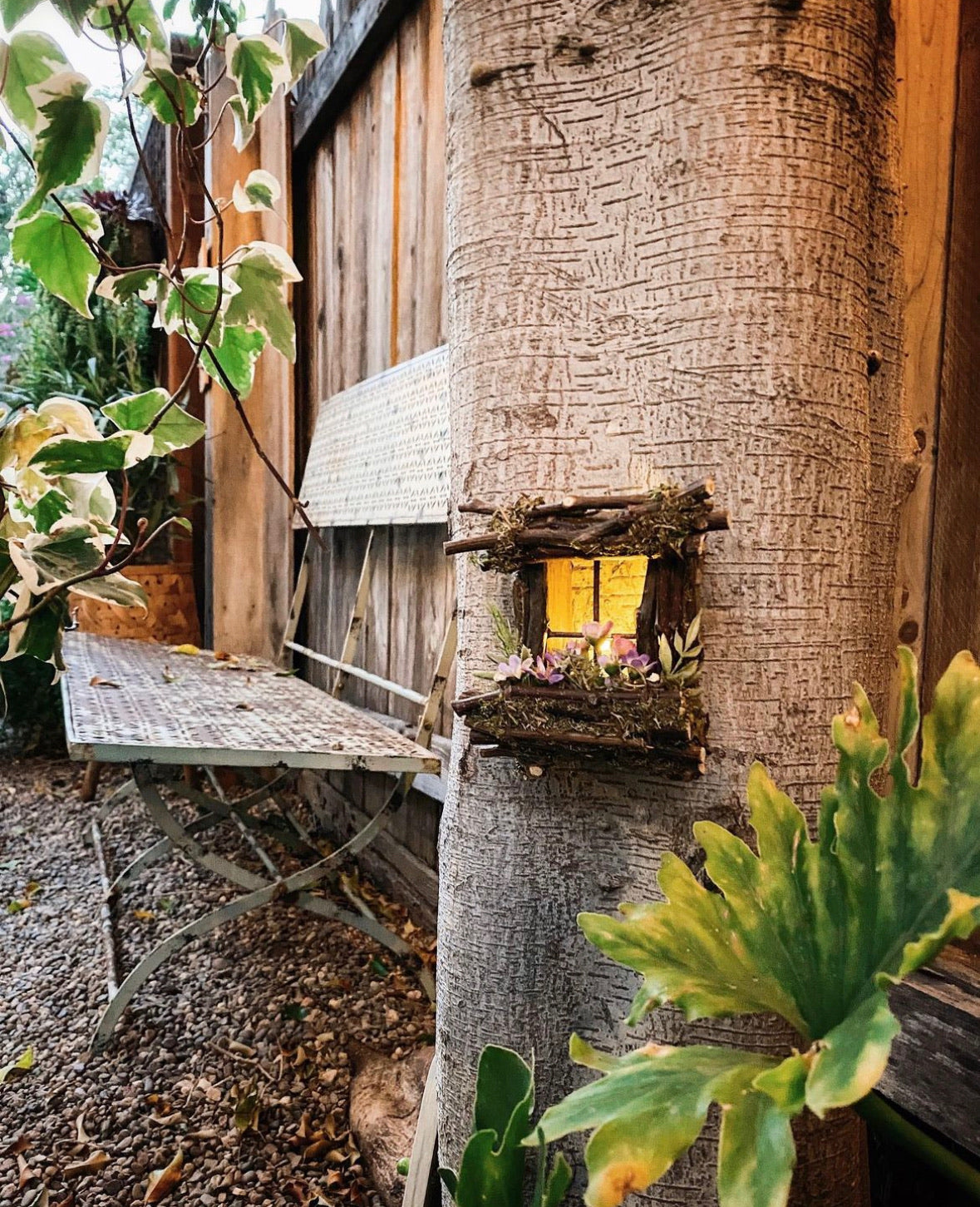 Big Red Sun Fairy Garden Kit