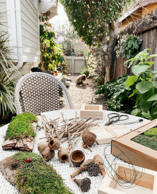 Big Red Sun Fairy Garden Kit