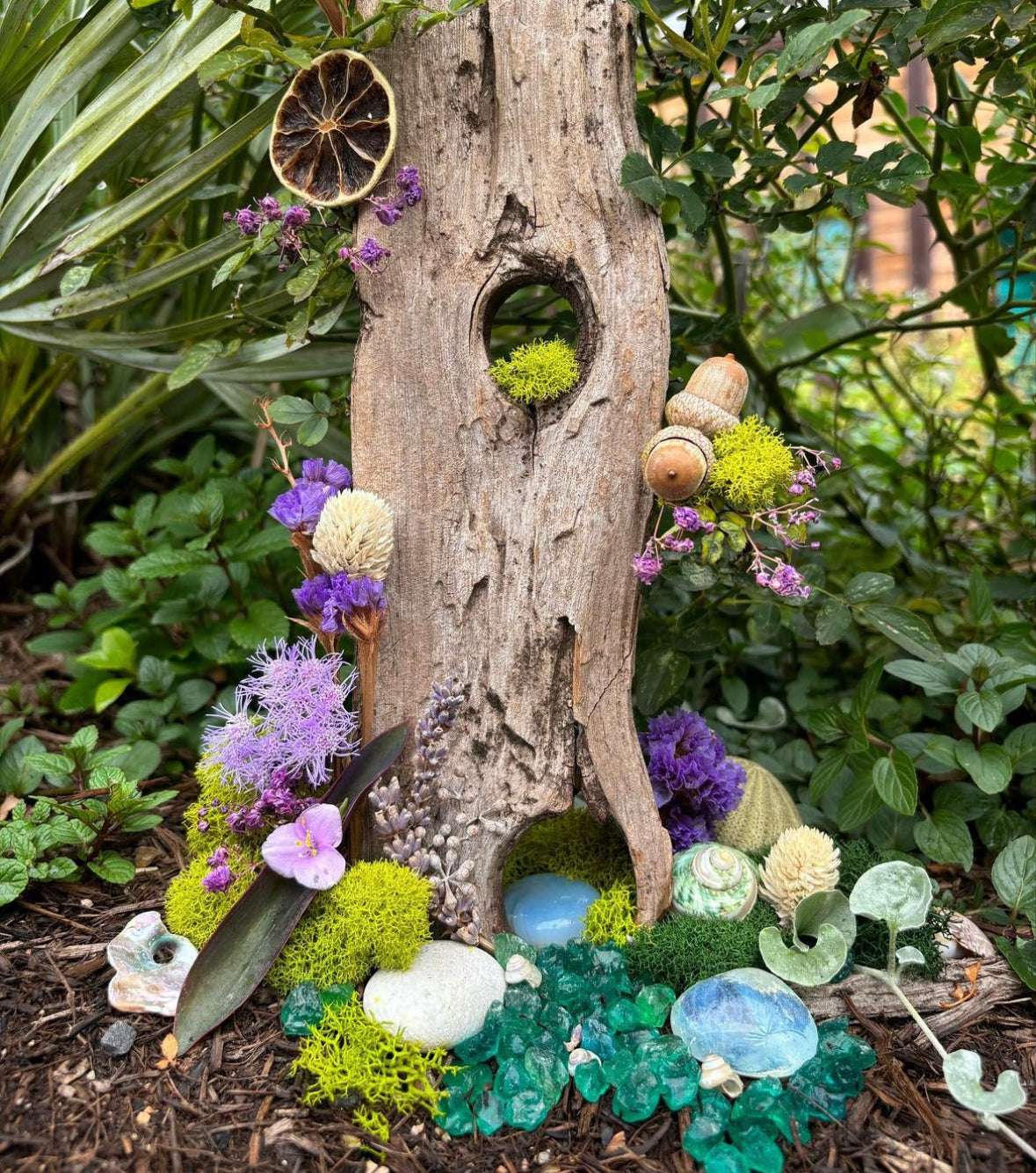 Big Red Sun Fairy Garden Kit