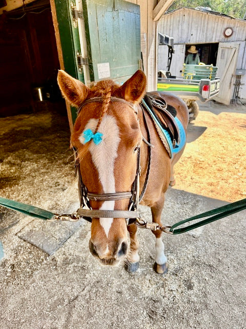Jigsaw Farms Pony Pin/MEDIUM