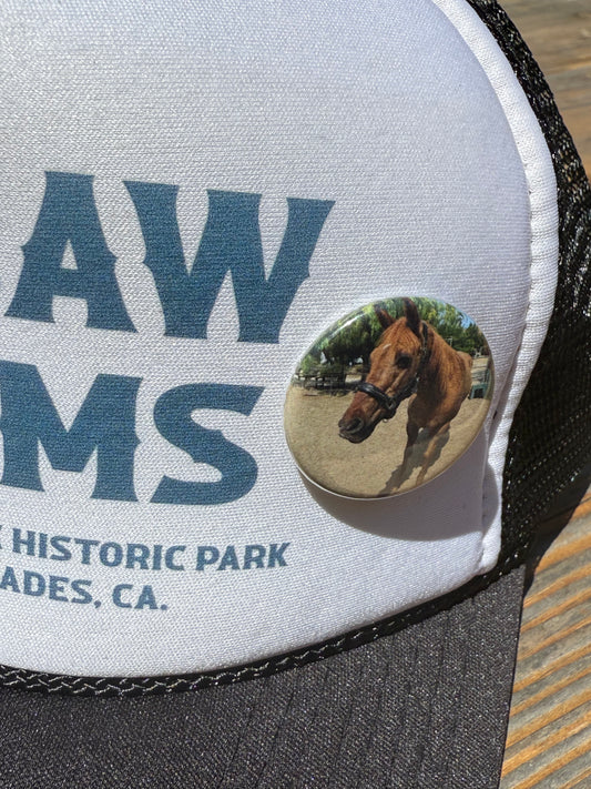 Jigsaw Farms Pony Pin/SMALL