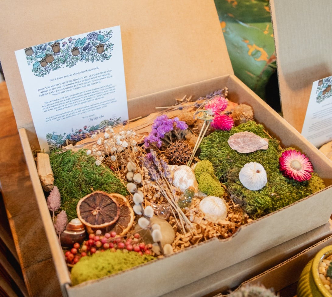 Big Red Sun Fairy Garden Kit