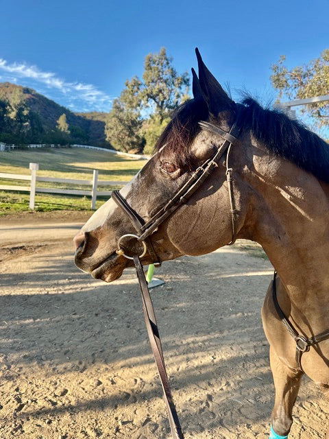 Jigsaw Farms Pony Pin/SMALL