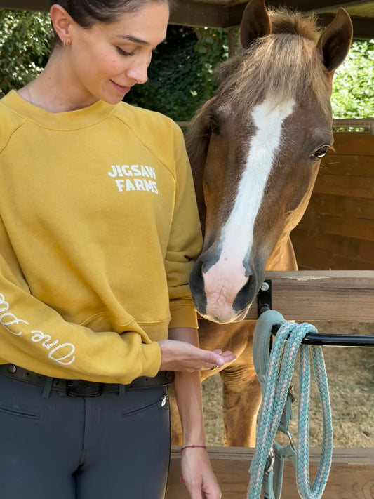 Jigsaw Farms Cropped Pullover