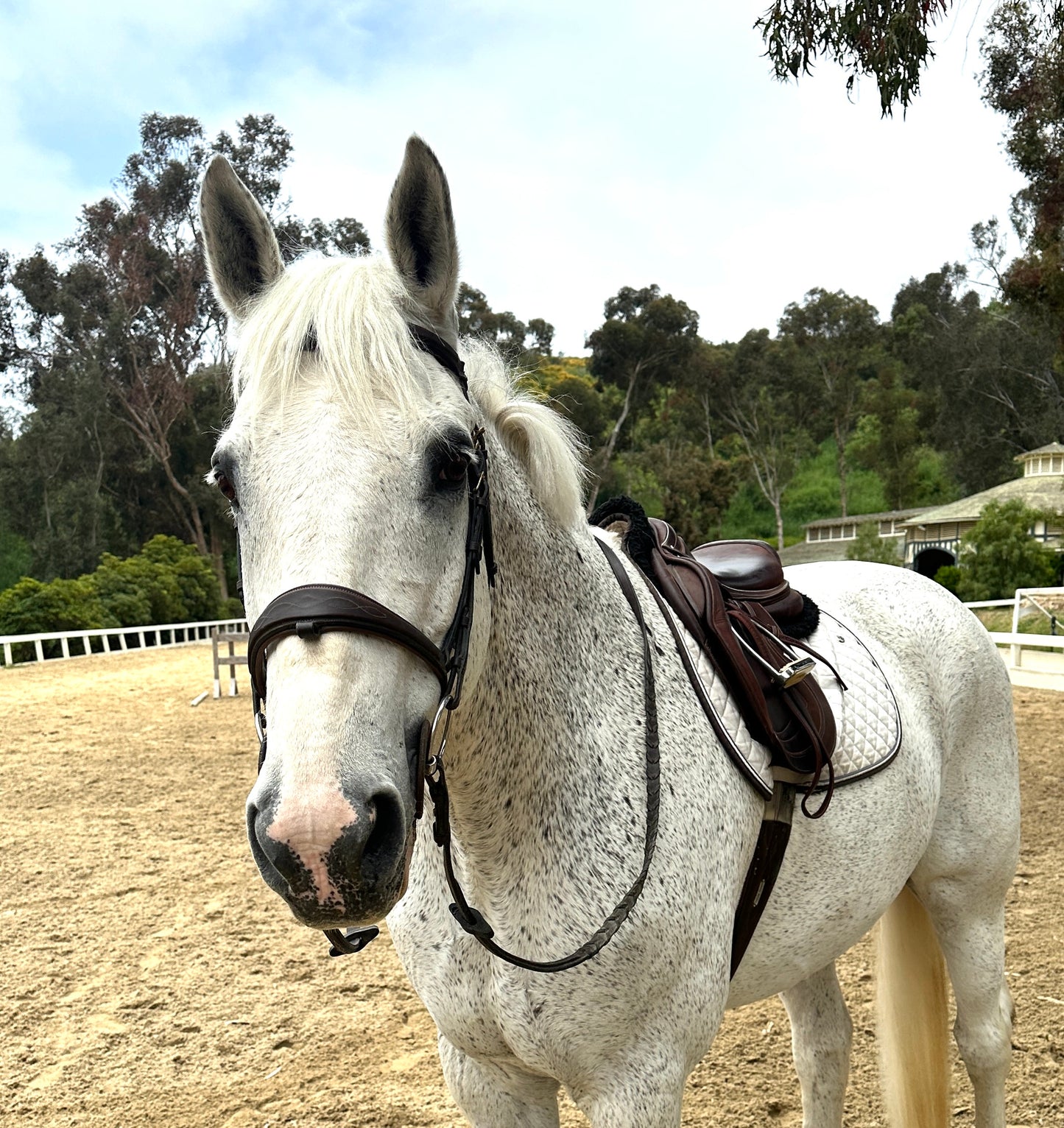 Jigsaw Farms Pony Pin/SMALL