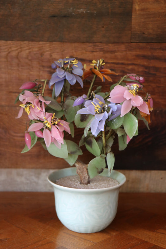 Vintage 1960s Jade Tree