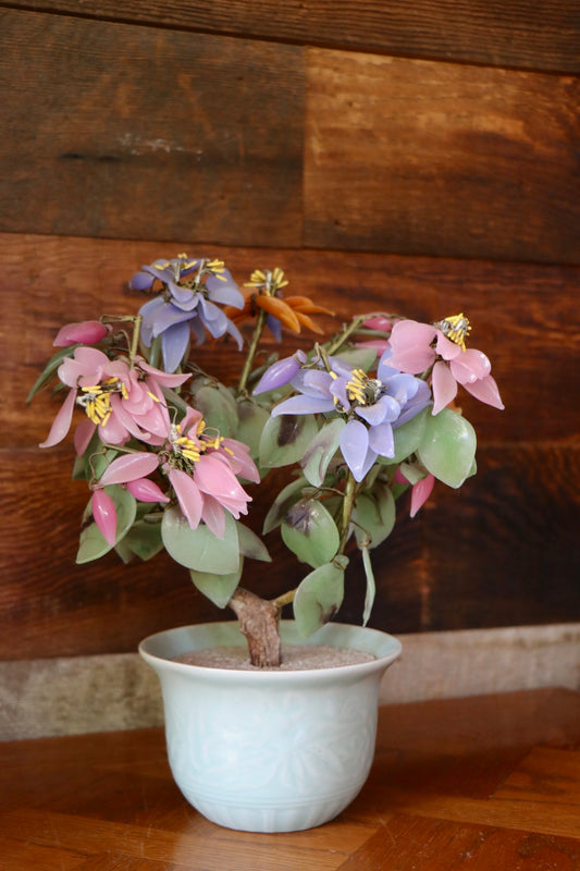 Vintage 1960s Jade Tree