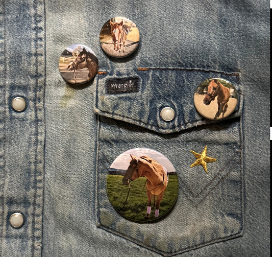 Jigsaw Farms Pony Pin/MEDIUM