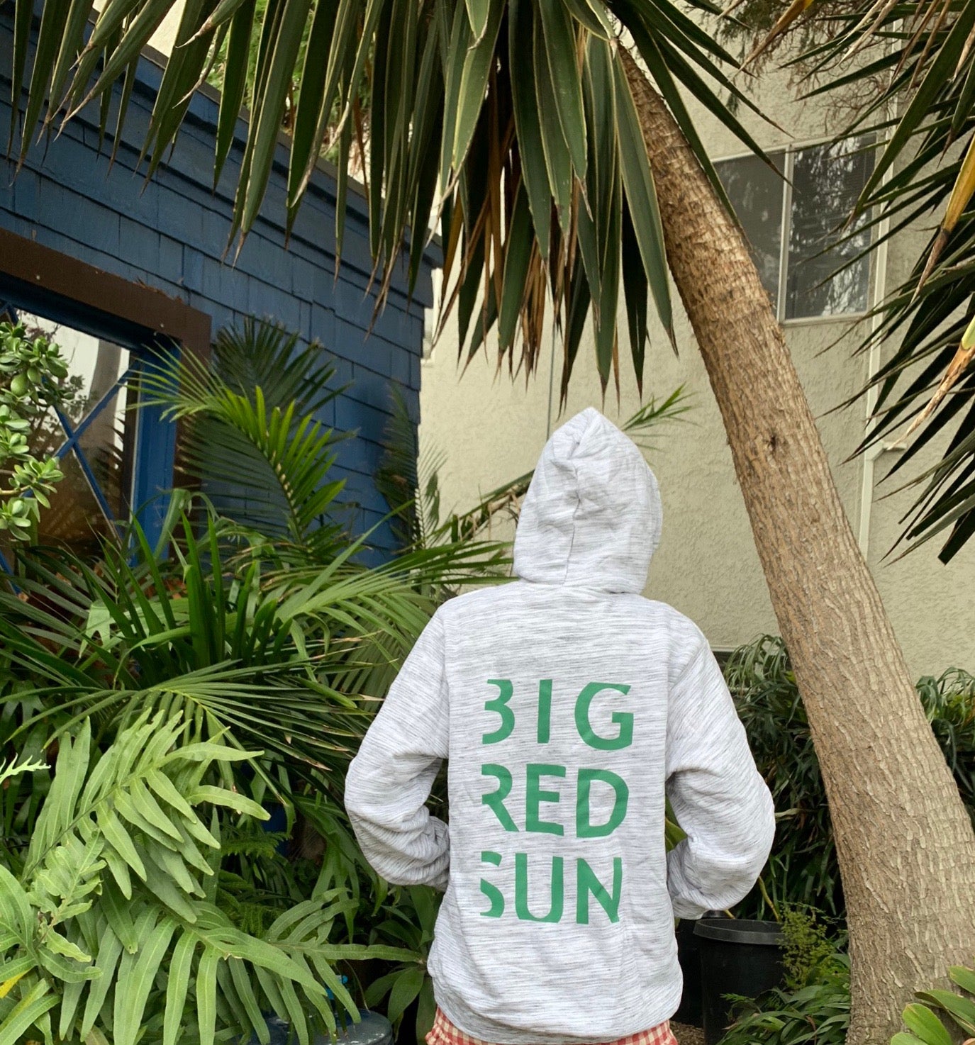 Big Red Sun's I Love Plants Hoodie - Green Ink