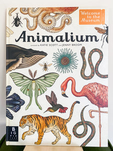 Animalium Book