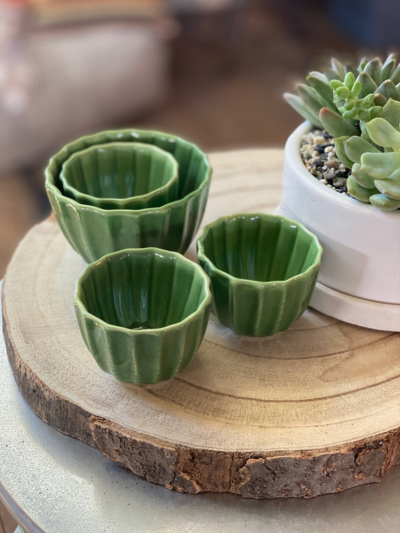 Cactus Cup Set